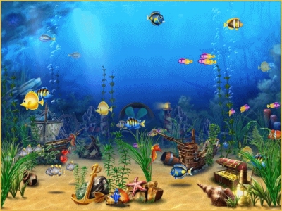 aquarium011b