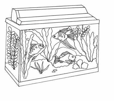aquarium015b