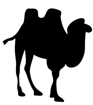 camel_contour